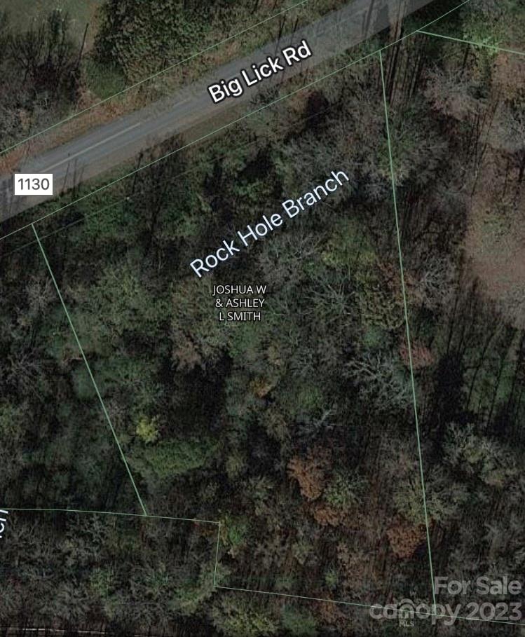 0 Big Lick Road Stanfield, NC 28163 - Photo 5 of 8 a view of a dry yard