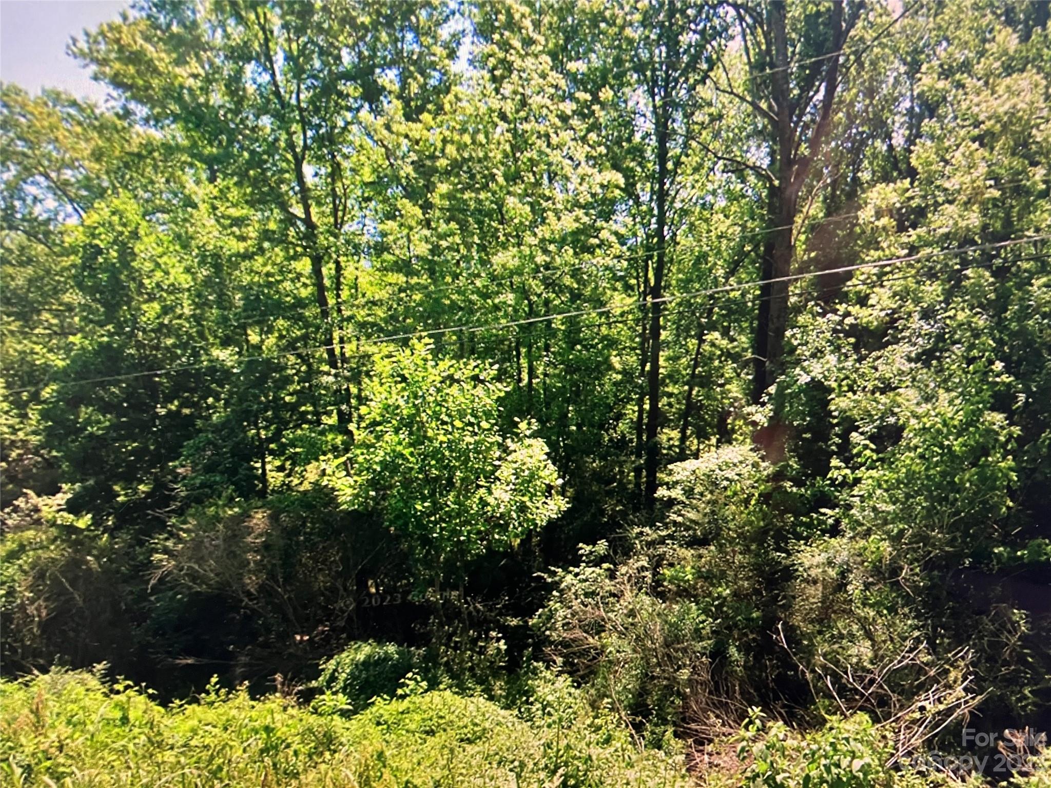0 Big Lick Road Stanfield, NC 28163 - Photo 8 of 8 a view of a tree with a plant