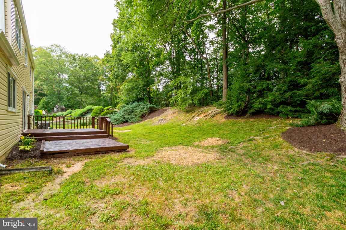 8474 Falling Leaf Road Springfield, VA 22153 - Photo 38 of 40