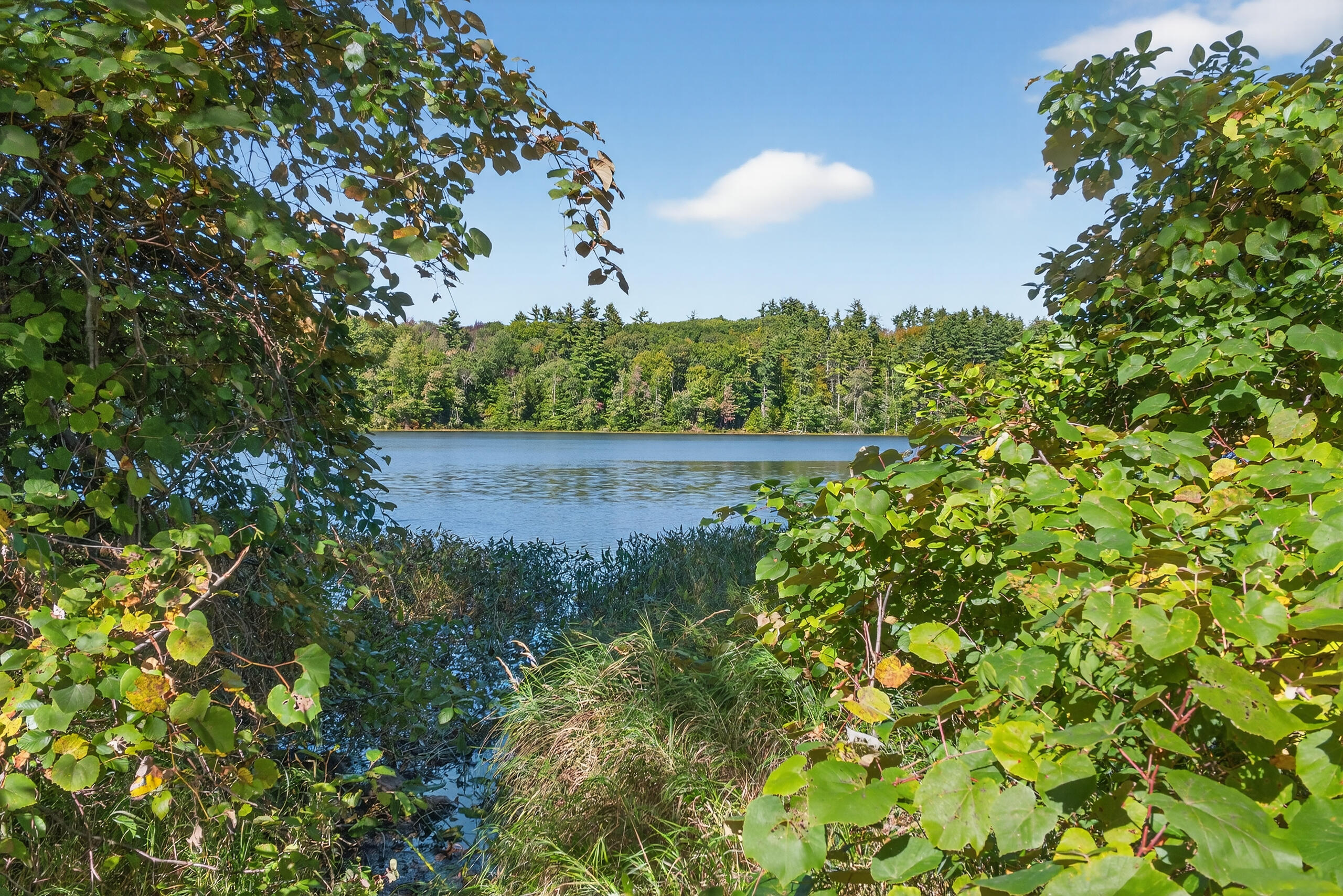 Tbd Elm Street Springvale, ME 04083 - Photo 5 of 25 TBD Elm St, Springvale