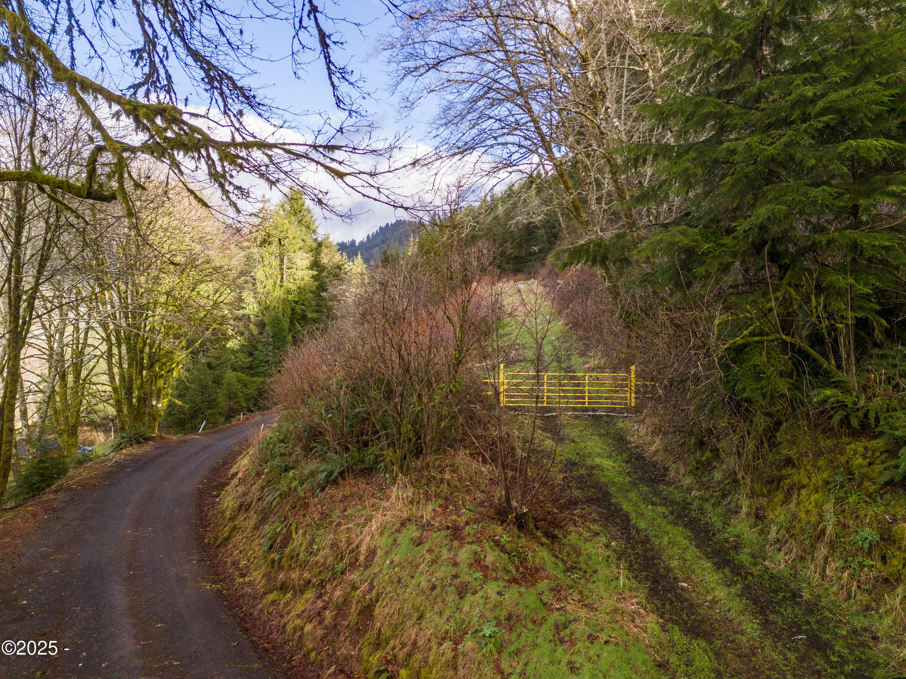 1500 Shiffman Road Nehalem, OR 97131 - Photo 15 of 15 DJI_20250209143835_0137_D