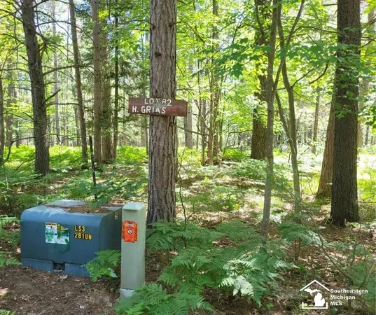 $22,000 | Lot 82 Evelyn Avenue, Grayling, MI 49738