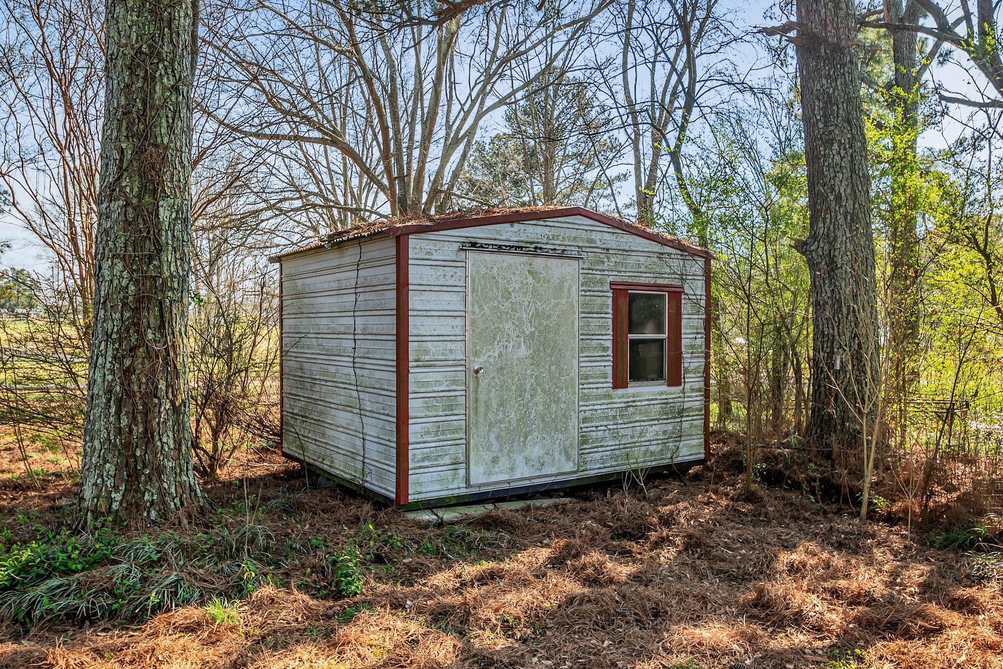 26454 Austin Whitt Road Ardmore, TN 38449 - Photo 46 of 49 a front view of a house with a garden