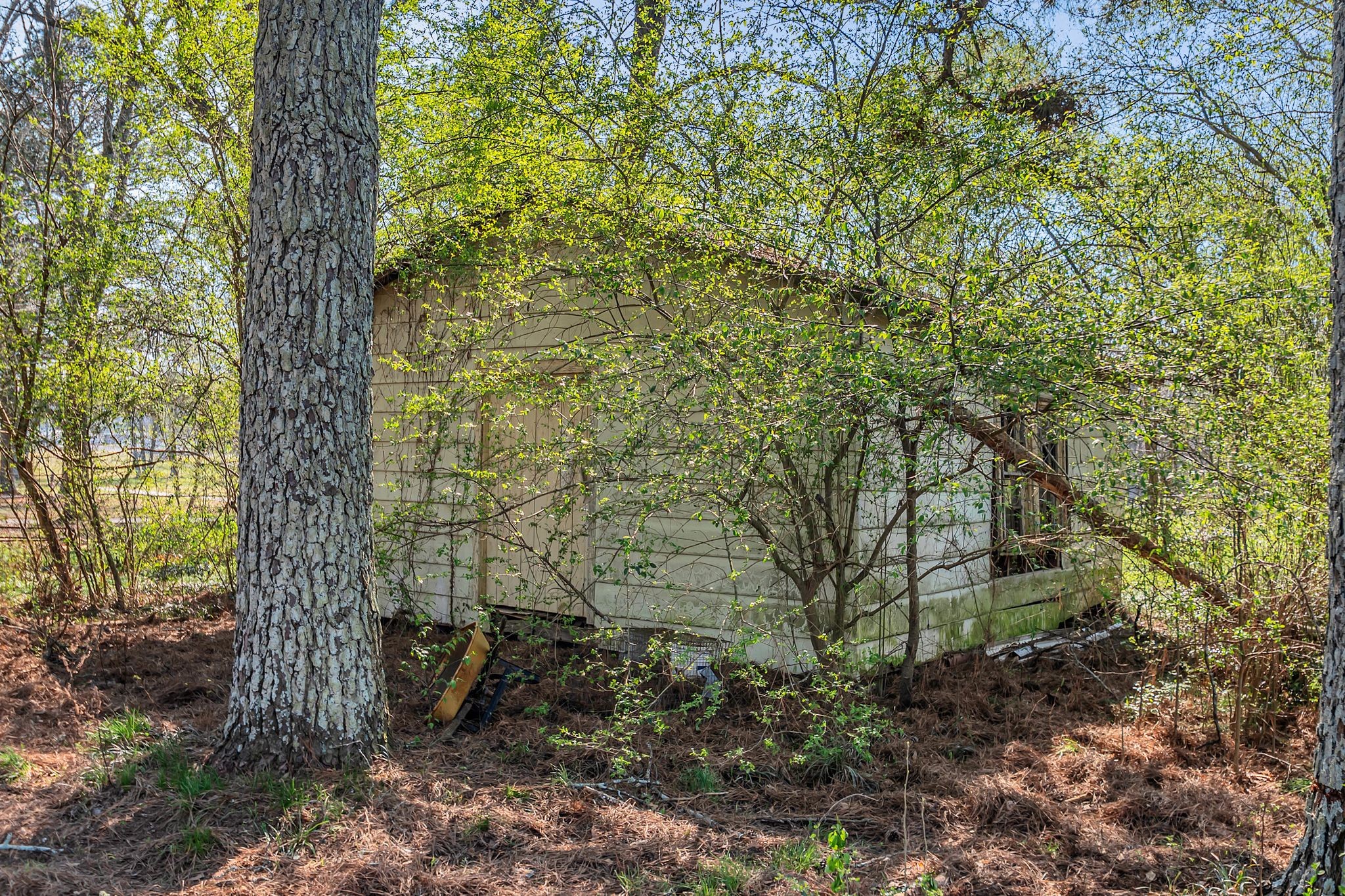 26454 Austin Whitt Road Ardmore, TN 38449 - Photo 47 of 49 a backyard of a house with lots of green space