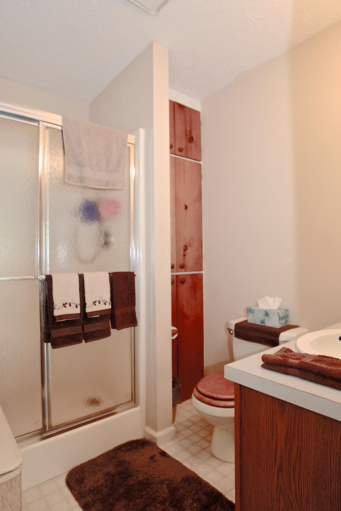 128 Thunder Ridge Road Huddleston, VA 24104 - Photo 33 of 88 Master Bath!