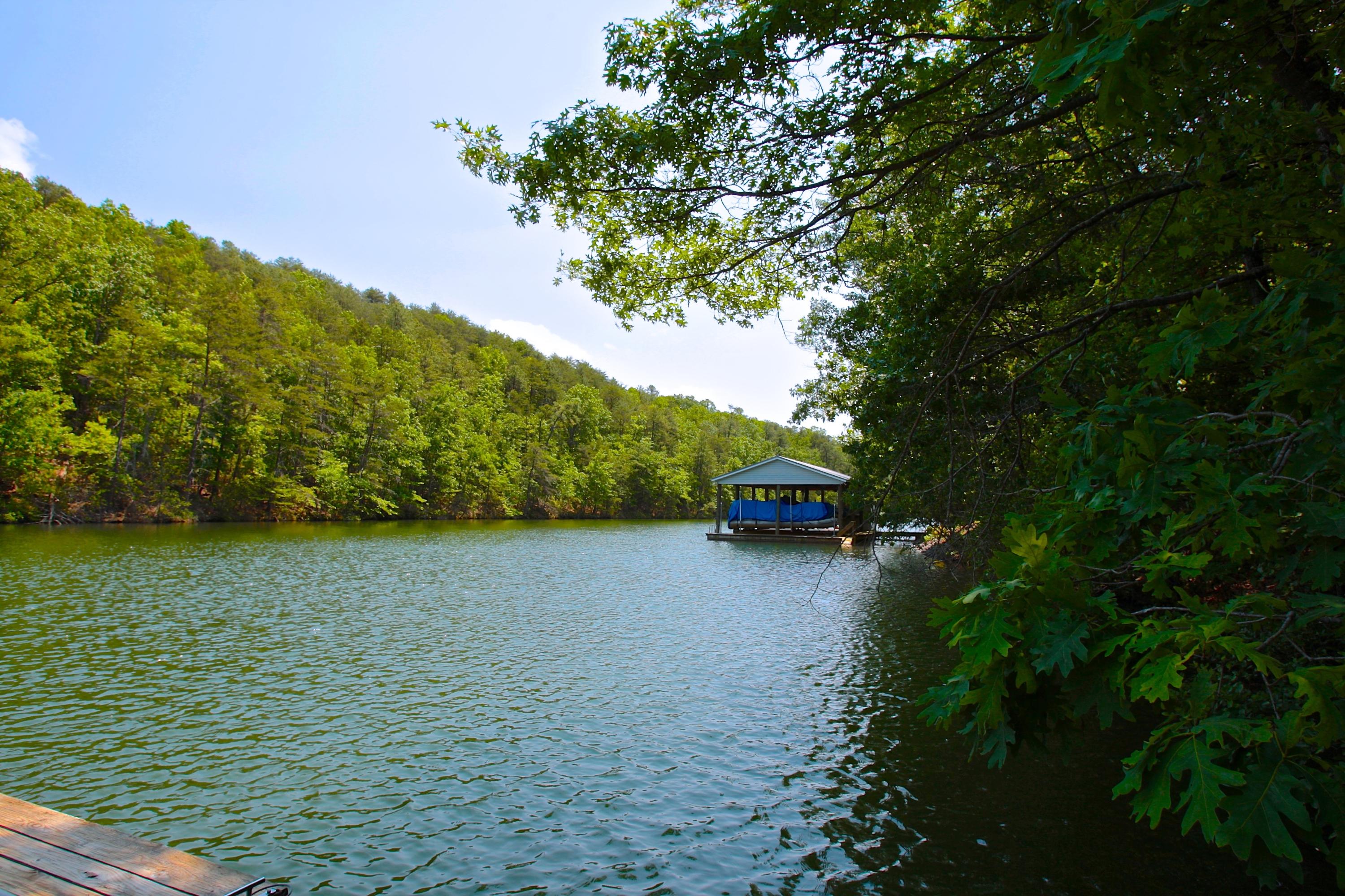 128 Thunder Ridge Road Huddleston, VA 24104 - Photo 40 of 88 Serenity!!