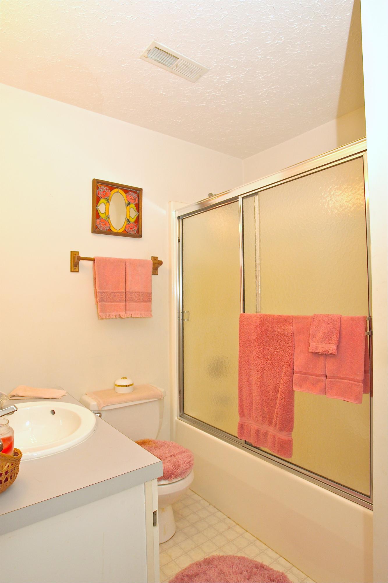 128 Thunder Ridge Road Huddleston, VA 24104 - Photo 62 of 88 Guest Bath LL/ Shower!