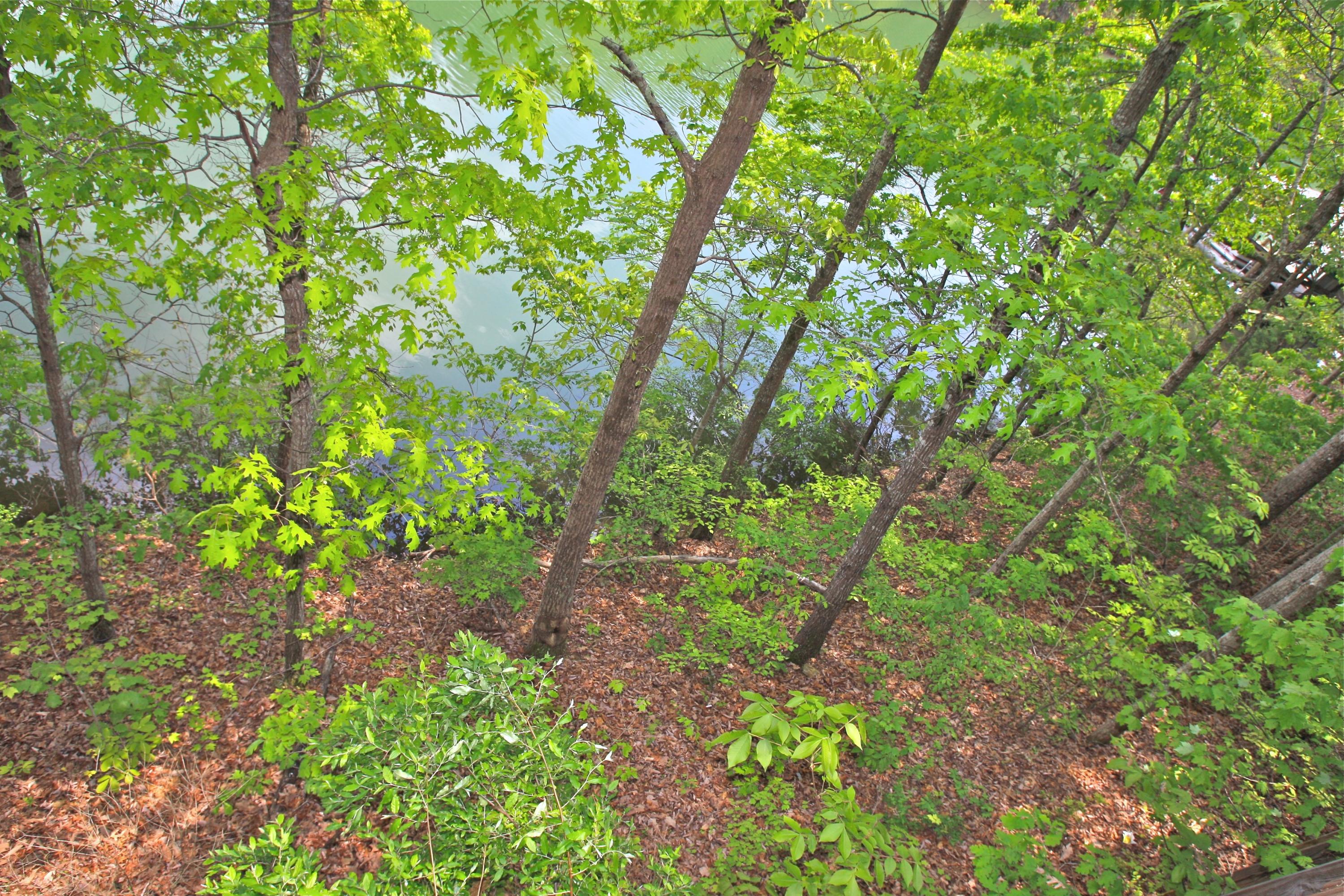 128 Thunder Ridge Road Huddleston, VA 24104 - Photo 65 of 88 Lakeside!