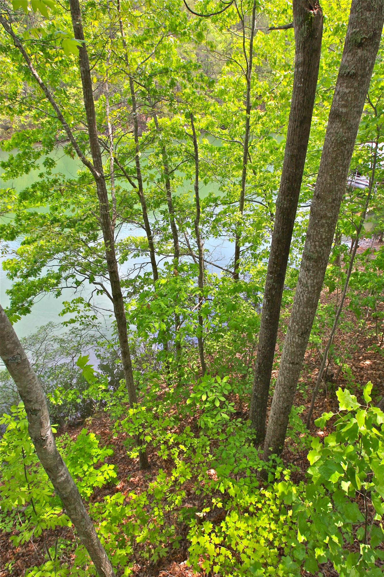 128 Thunder Ridge Road Huddleston, VA 24104 - Photo 66 of 88 Lake Views!