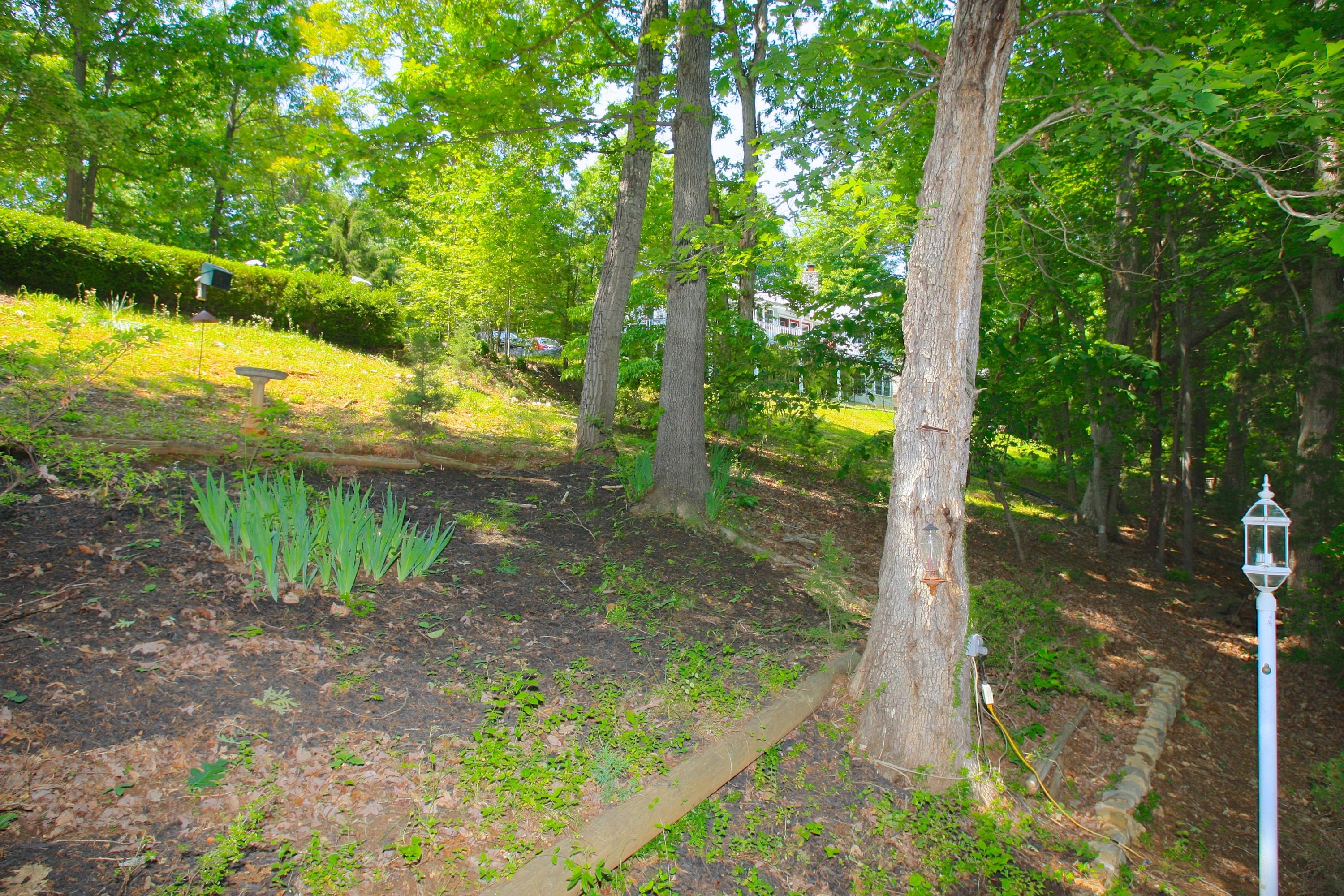 128 Thunder Ridge Road Huddleston, VA 24104 - Photo 79 of 88 Side Yard/ Perenials!