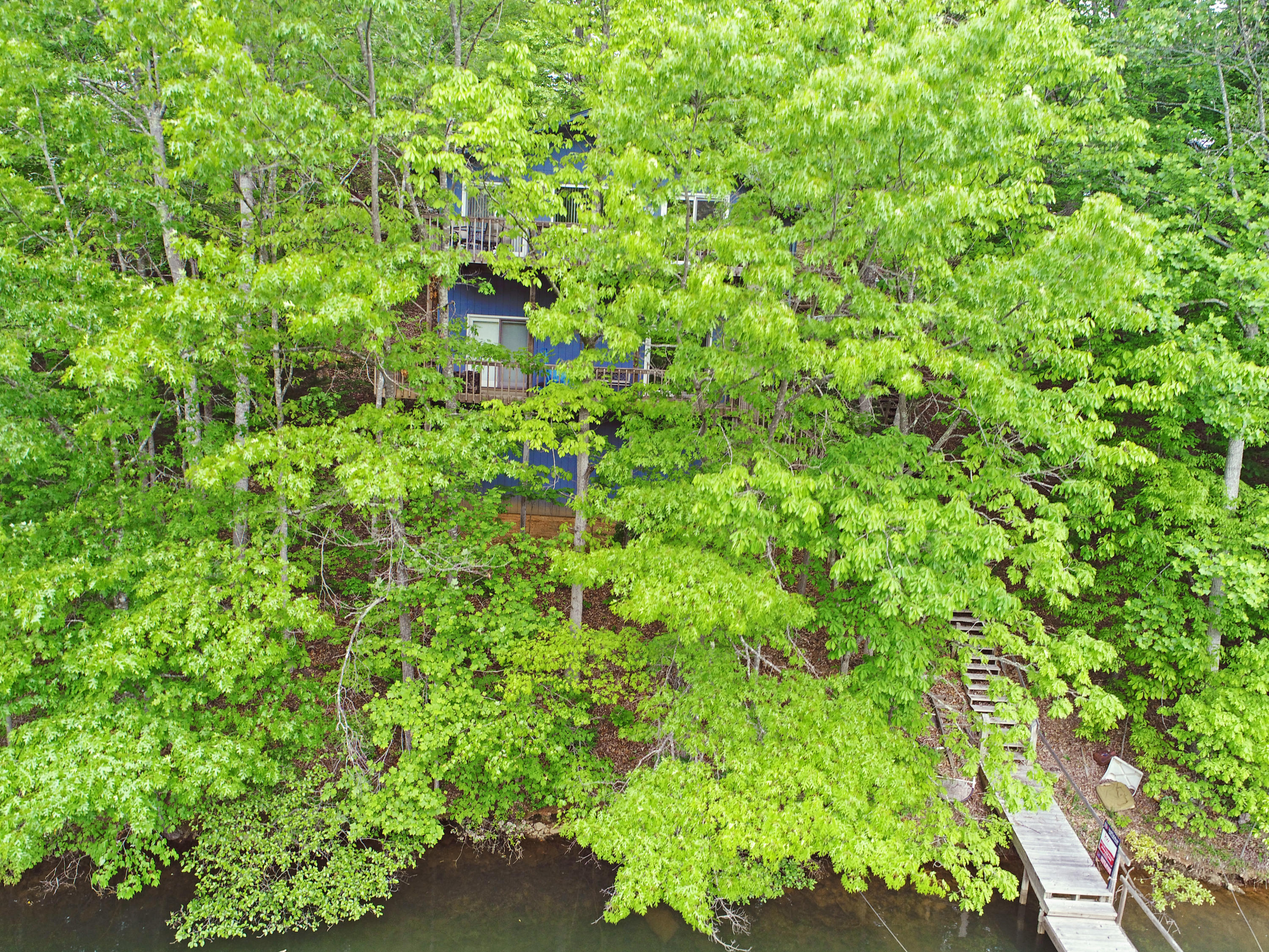 128 Thunder Ridge Road Huddleston, VA 24104 - Photo 82 of 88 Serene & Private!