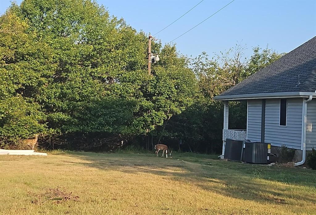 137 Oakview Gainesville, TX 76240 - Photo 34 of 37 Deer Next To House.
