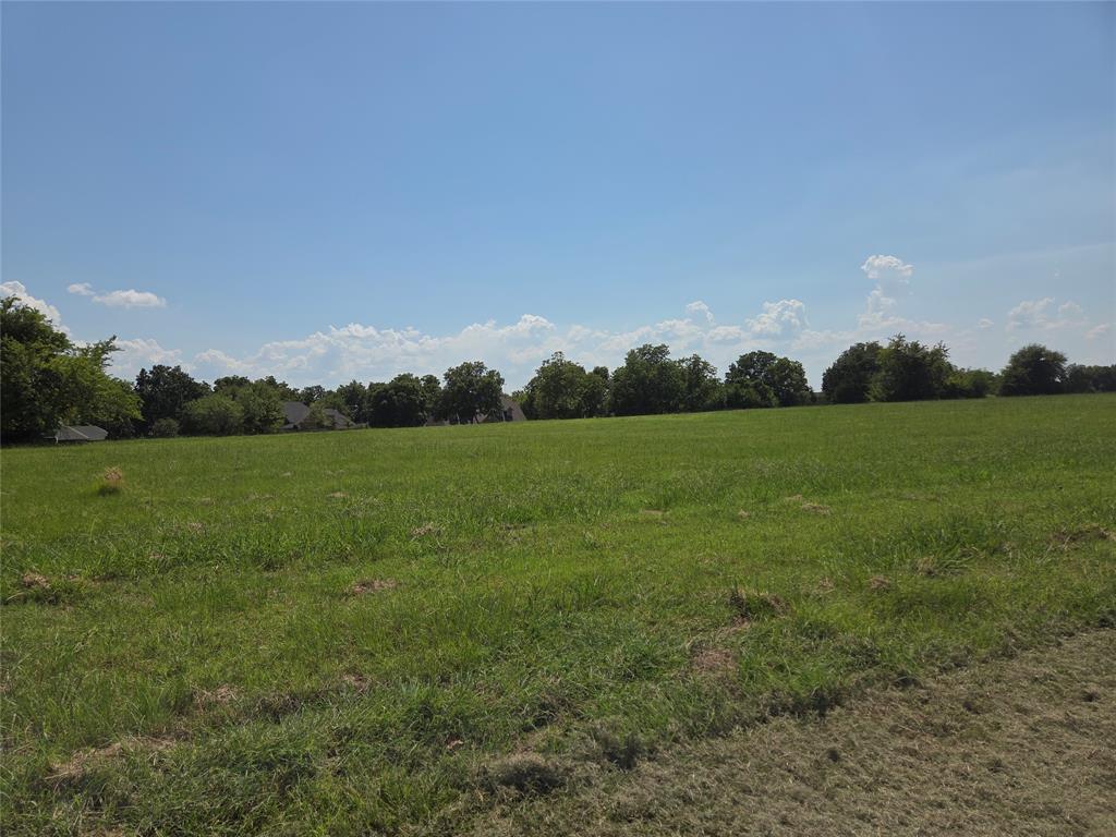 Lot 72-73 Tonkawa Trail Corsicana, TX 75109 - Photo 13 of 37 a view of a field with grass and trees