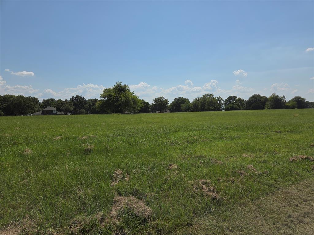 Lot 72-73 Tonkawa Trail Corsicana, TX 75109 - Photo 16 of 37 a view of grassy field with mountain