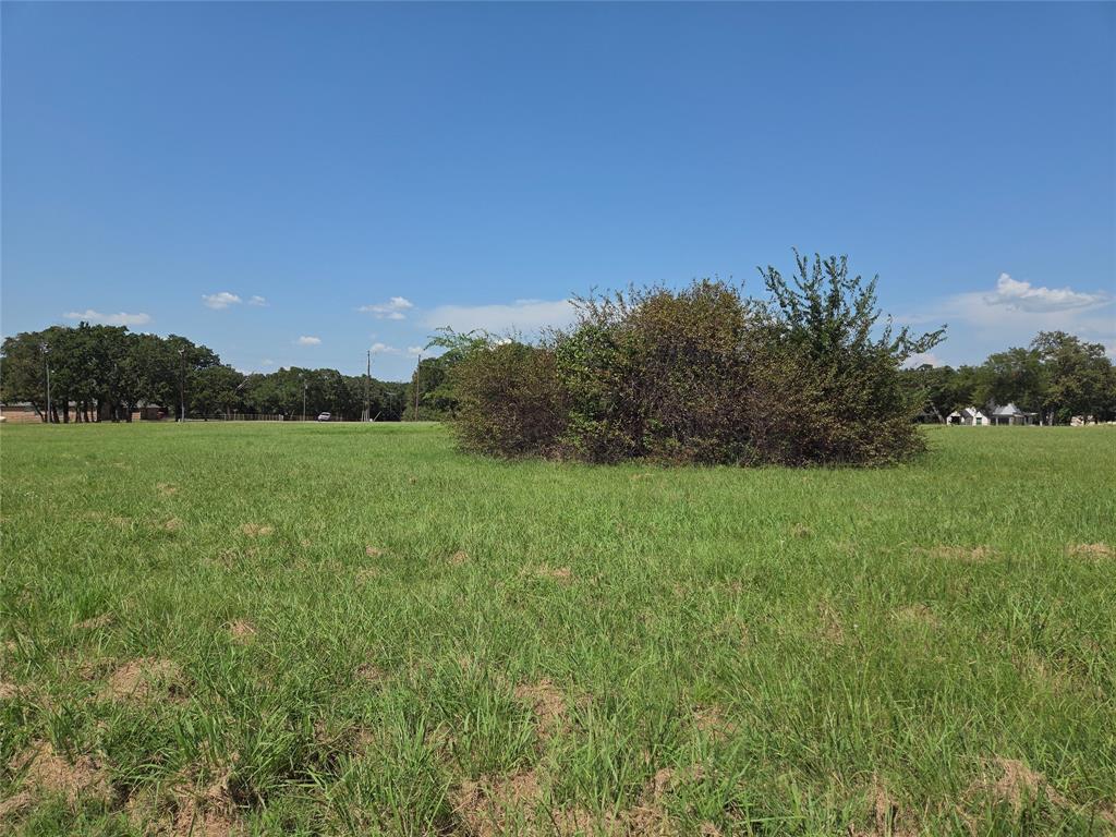 Lot 72-73 Tonkawa Trail Corsicana, TX 75109 - Photo 29 of 37 a view of a field with grass and trees