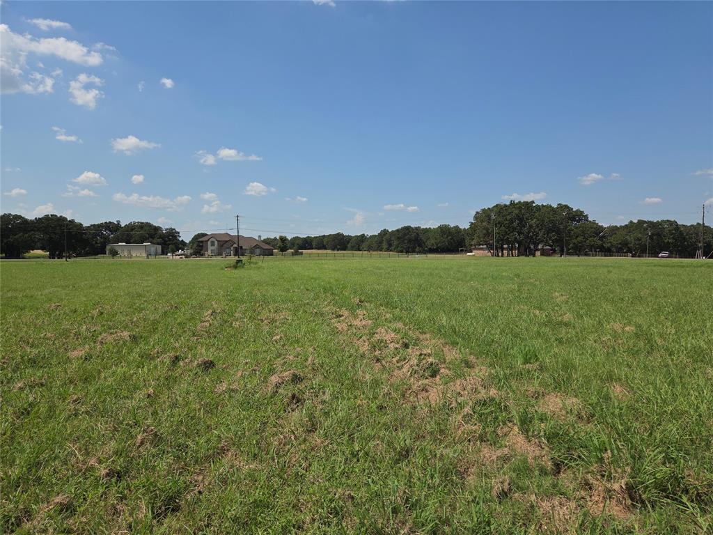 Lot 72-73 Tonkawa Trail Corsicana, TX 75109 - Photo 9 of 37 a view of a green field with trees in the background