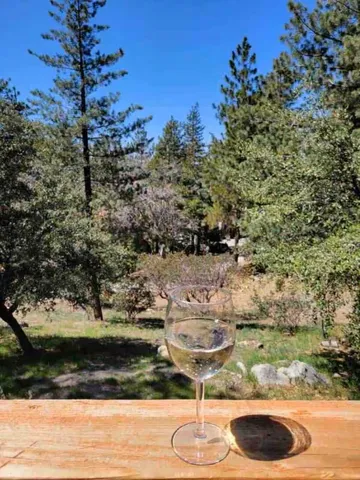 $403,875 | 24825 Marion Ridge Drive, Idyllwild, CA 92549