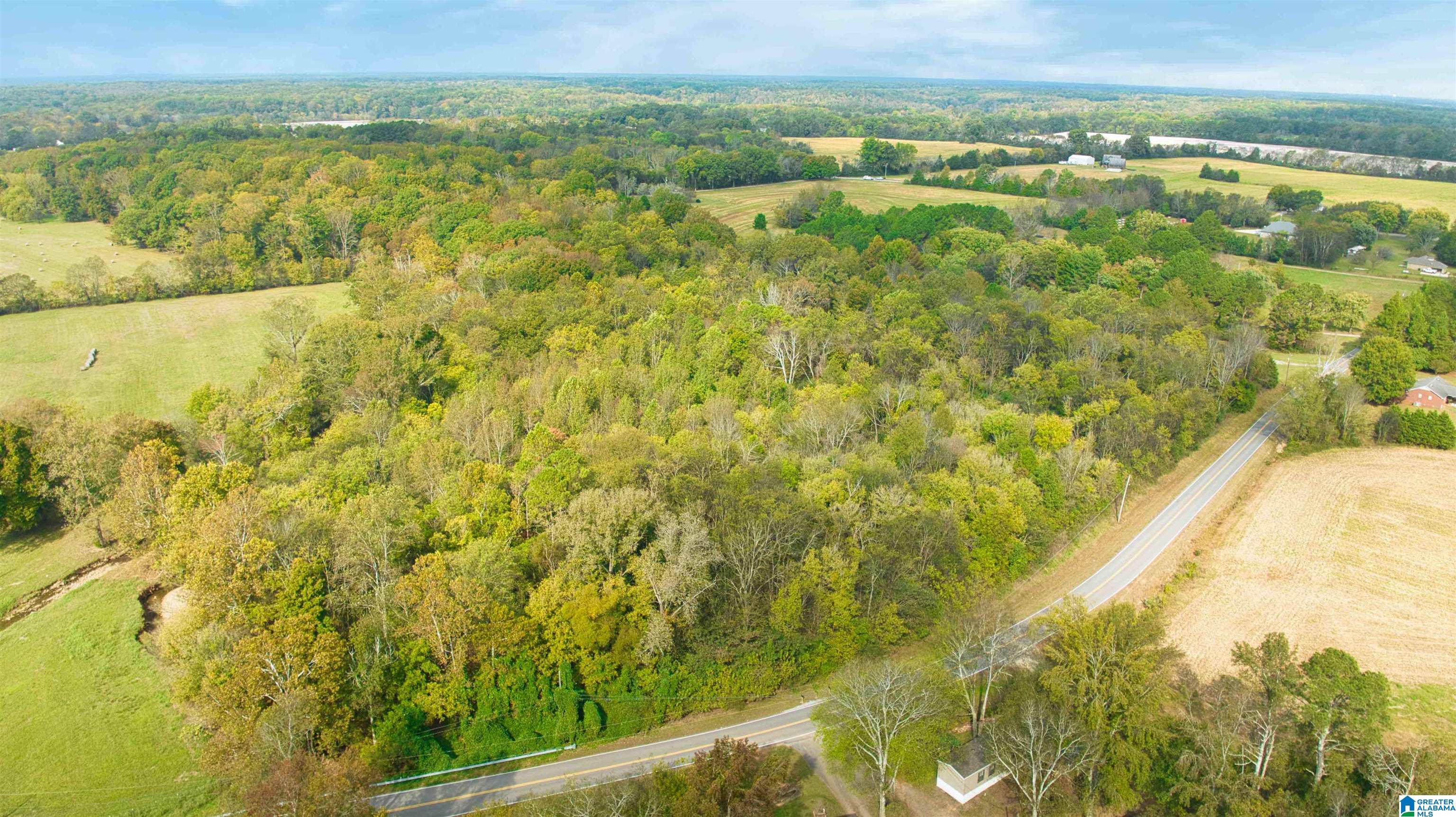 0 South Love Branch Road Toney, AL 35773 - Photo 22 of 26