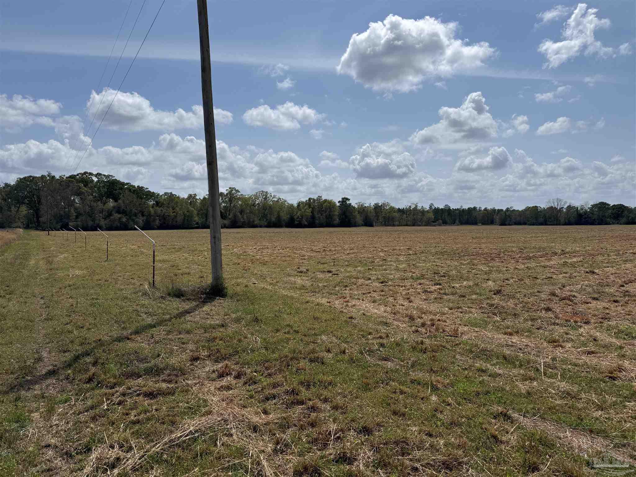 0 Green Road Baker, FL 32531 - Photo 11 of 15