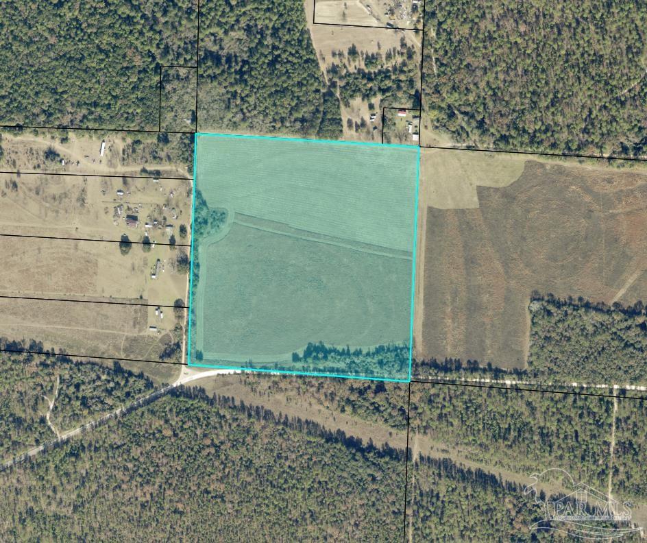 0 Green Road Baker, FL 32531 - Photo 14 of 15