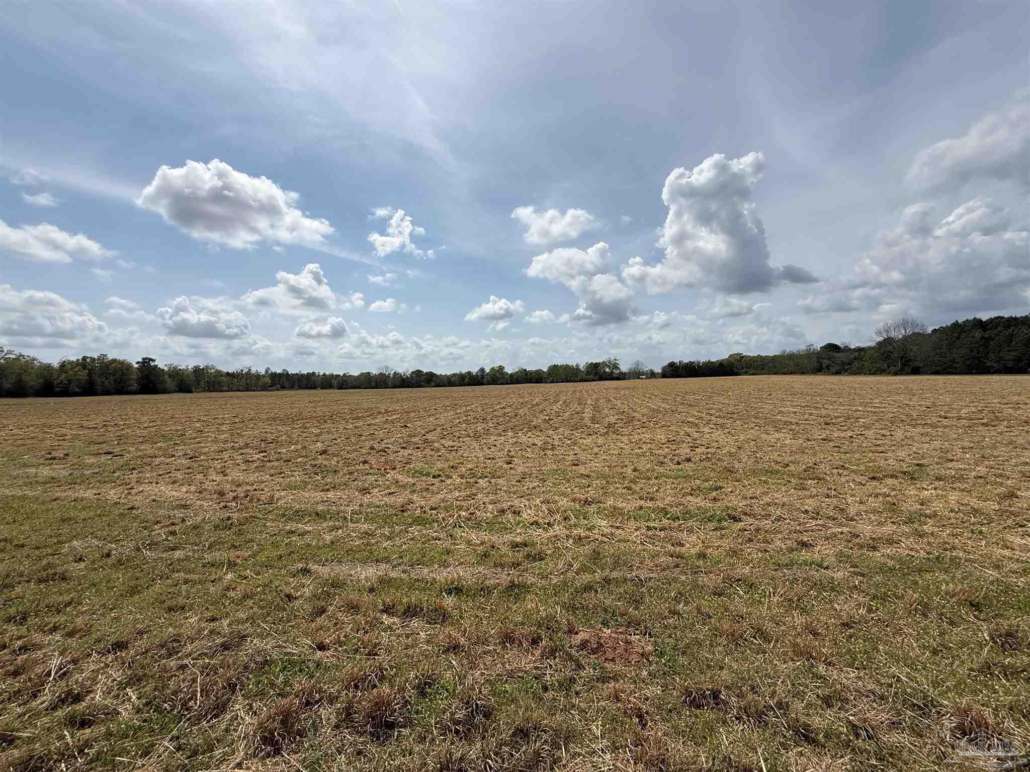 0 Green Road Baker, FL 32531 - Photo 2 of 15