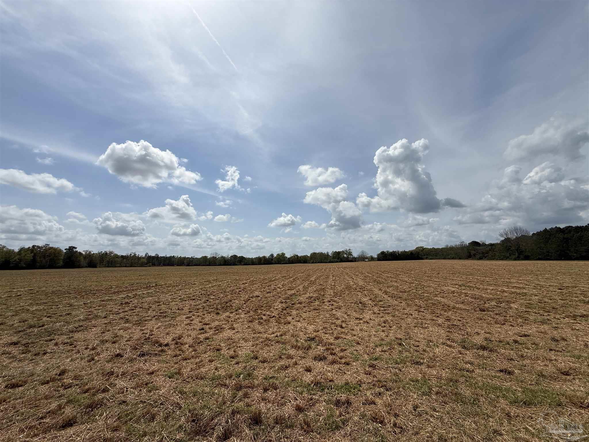 0 Green Road Baker, FL 32531 - Photo 3 of 15