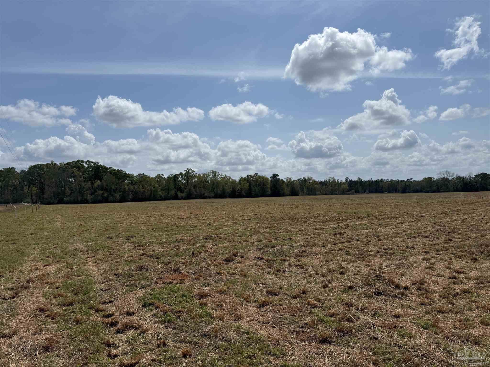 0 Green Road Baker, FL 32531 - Photo 4 of 15