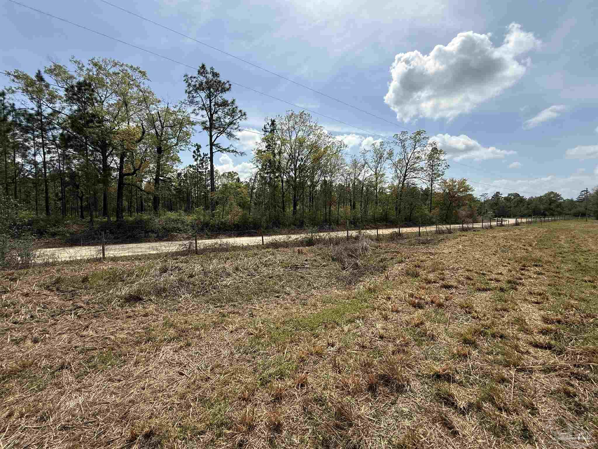 0 Green Road Baker, FL 32531 - Photo 5 of 15