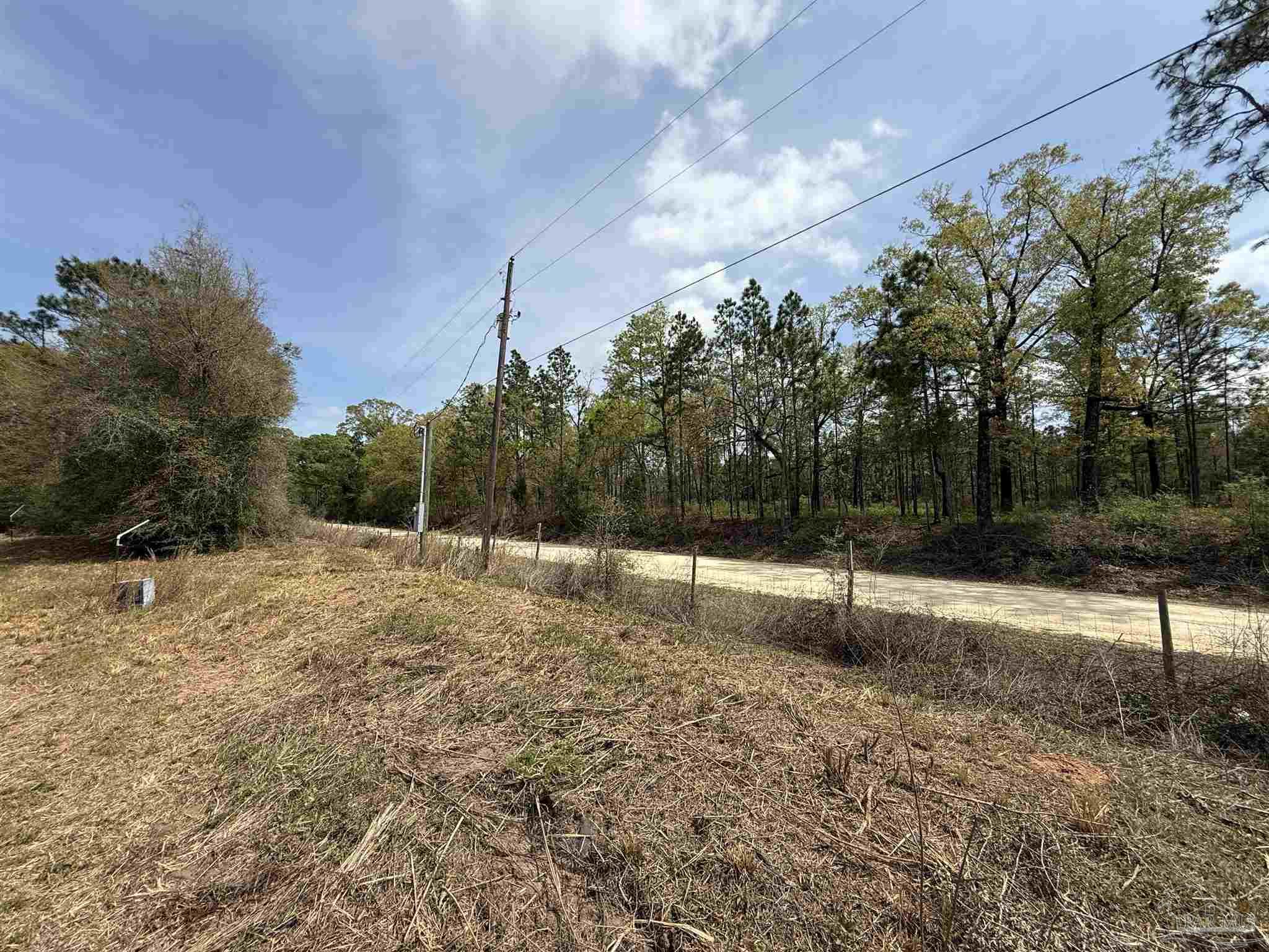 0 Green Road Baker, FL 32531 - Photo 6 of 15