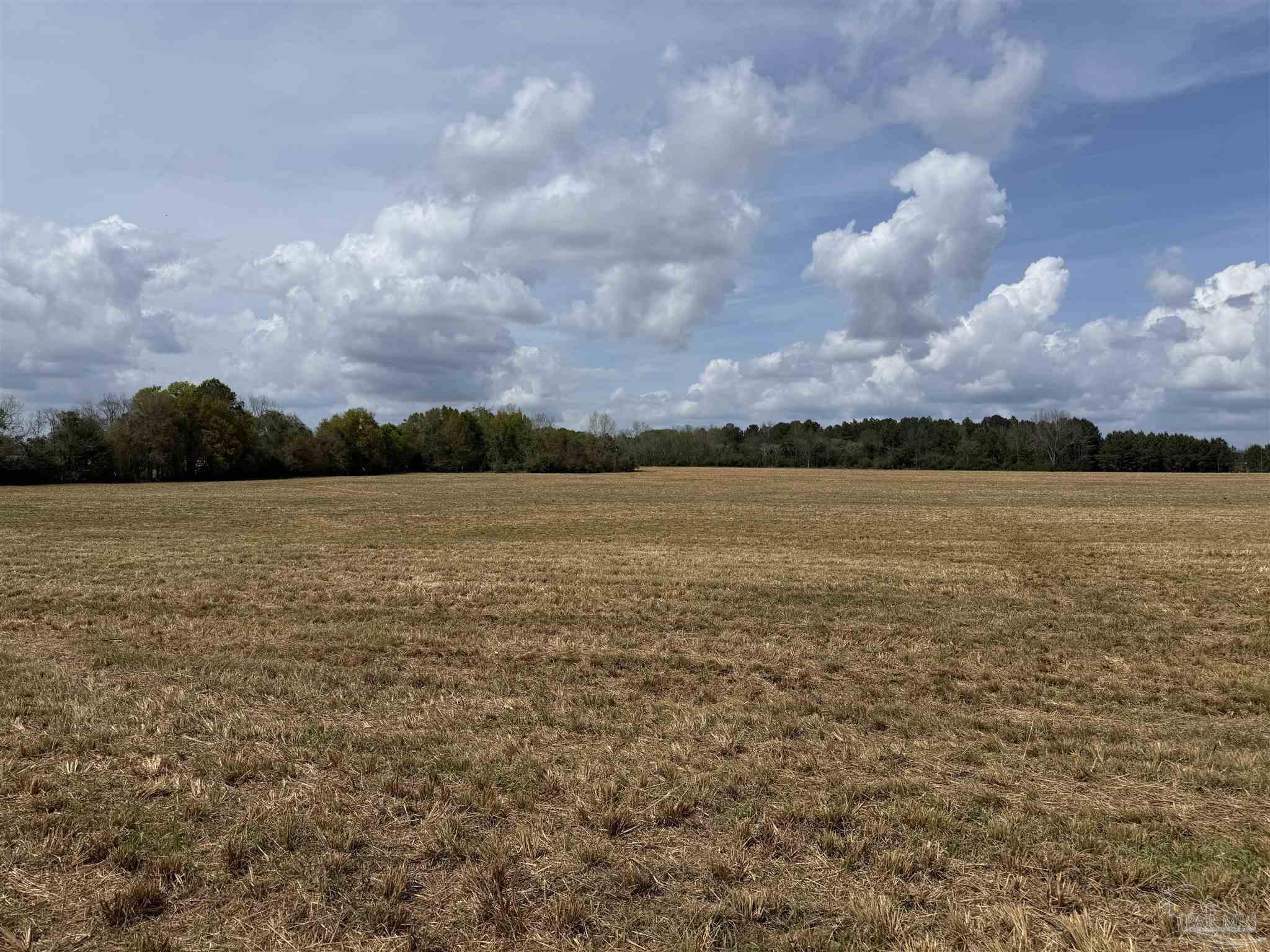 0 Green Road Baker, FL 32531 - Photo 7 of 15