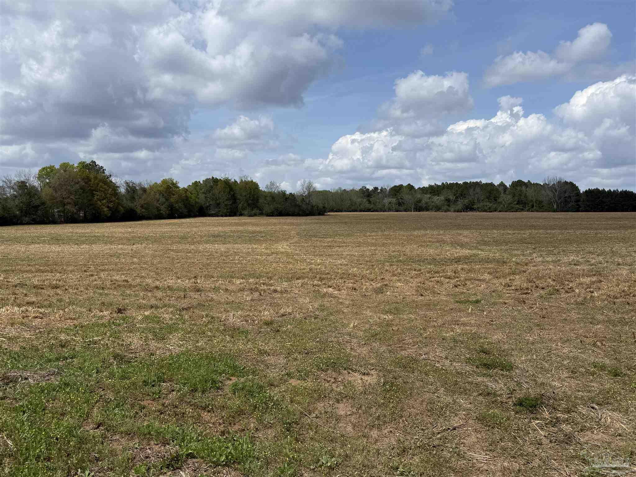 0 Green Road Baker, FL 32531 - Photo 9 of 15