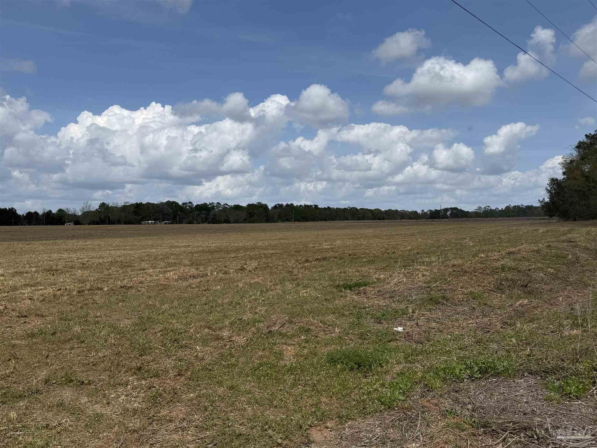 0 Green Road Baker, FL 32531 - Photo 10 of 15