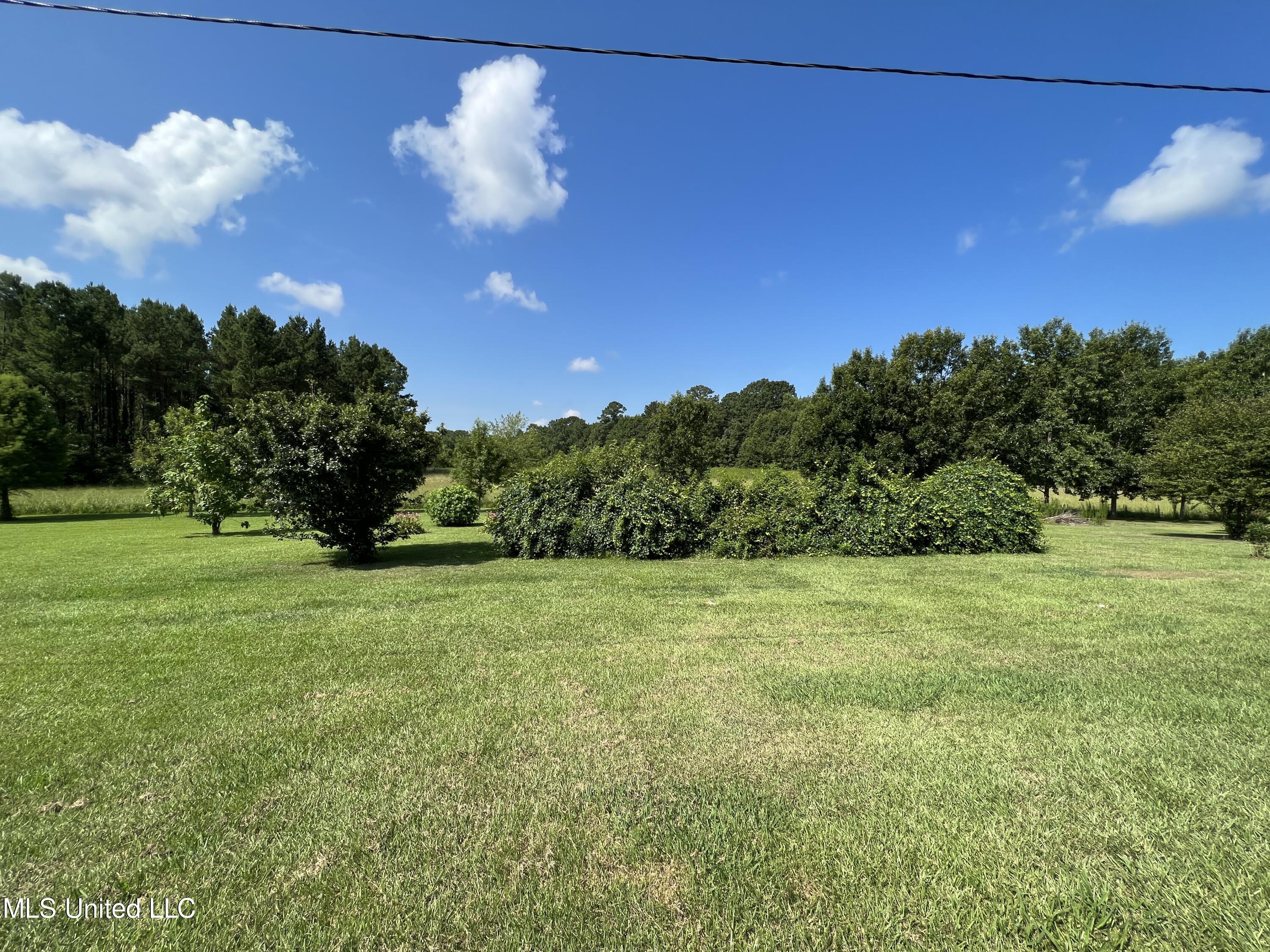 10920 Hillsboro-Ludlow Road Lena, MS 39094 - Photo 11 of 48 Photo Jul 13, 10 10 50 AM