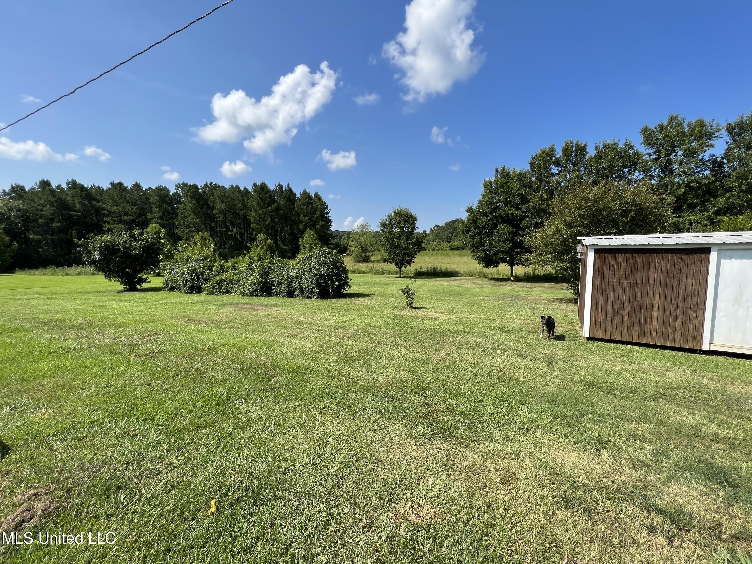 10920 Hillsboro-Ludlow Road Lena, MS 39094 - Photo 15 of 48 Photo Jul 13, 10 11 44 AM