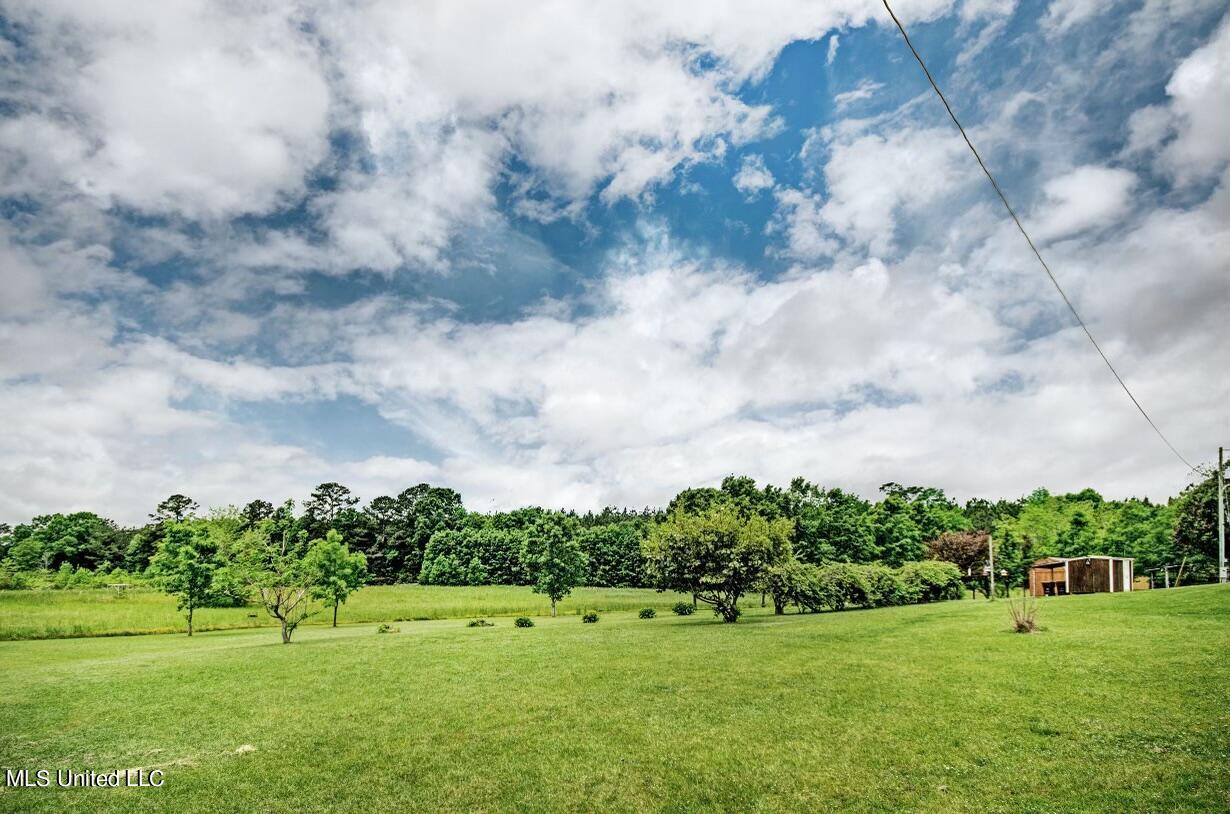 10920 Hillsboro-Ludlow Road Lena, MS 39094 - Photo 2 of 48 Photo Jul 10, 7 51 59 PM