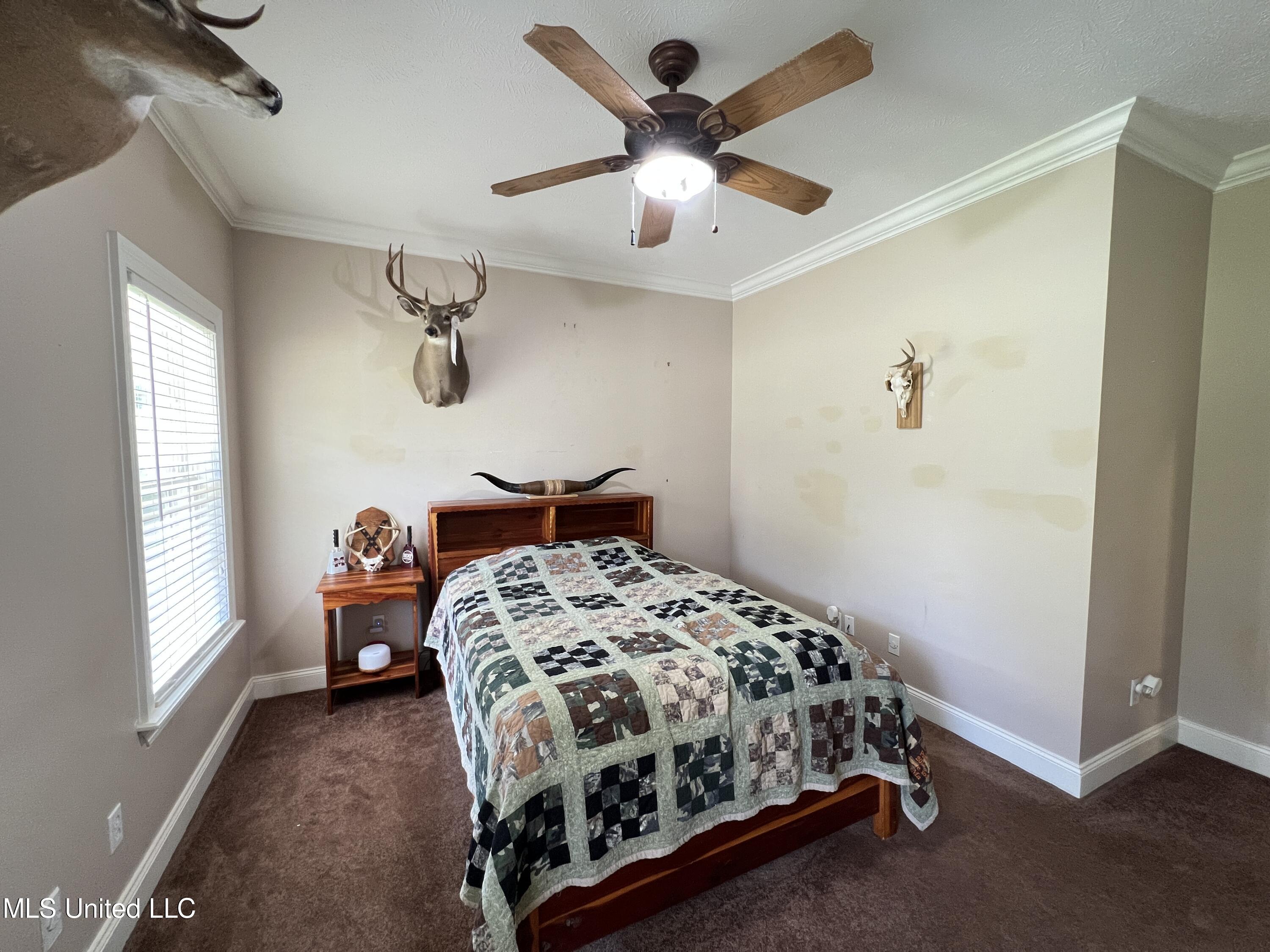 10920 Hillsboro-Ludlow Road Lena, MS 39094 - Photo 38 of 48 Photo Jul 13, 10 19 47 AM