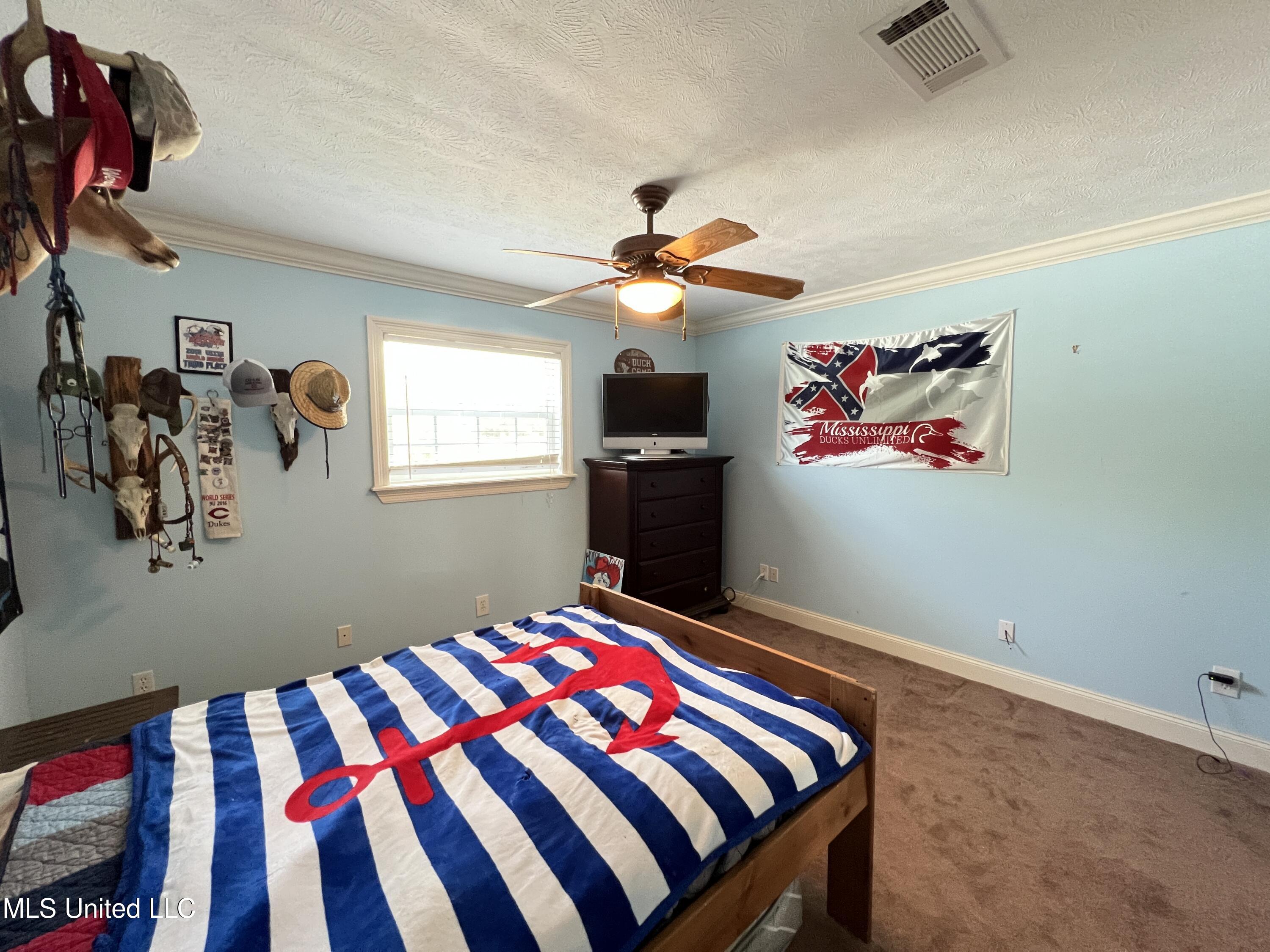 10920 Hillsboro-Ludlow Road Lena, MS 39094 - Photo 44 of 48 Photo Jul 13, 10 23 21 AM