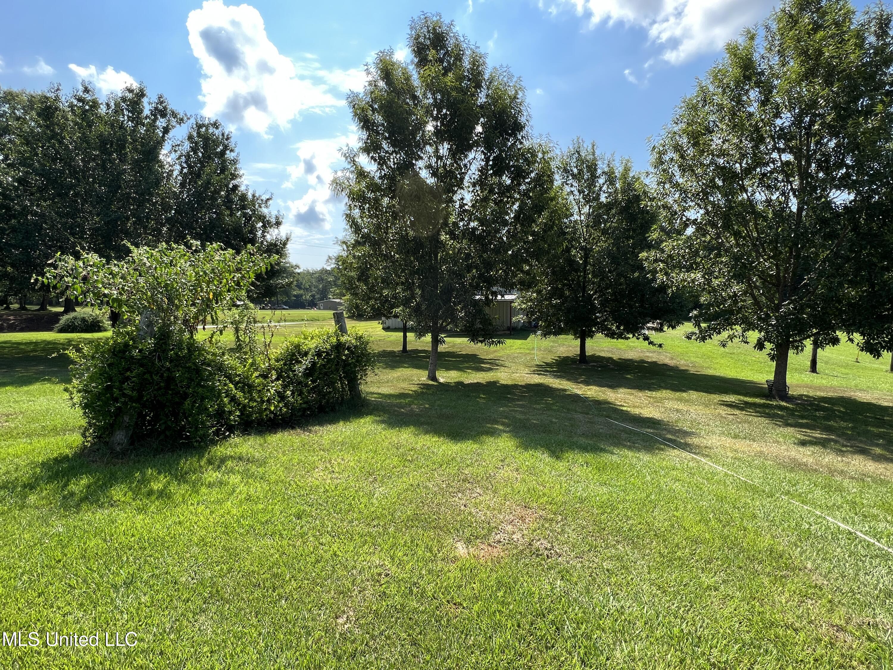 10920 Hillsboro-Ludlow Road Lena, MS 39094 - Photo 9 of 48 Photo Jul 13, 10 10 30 AM
