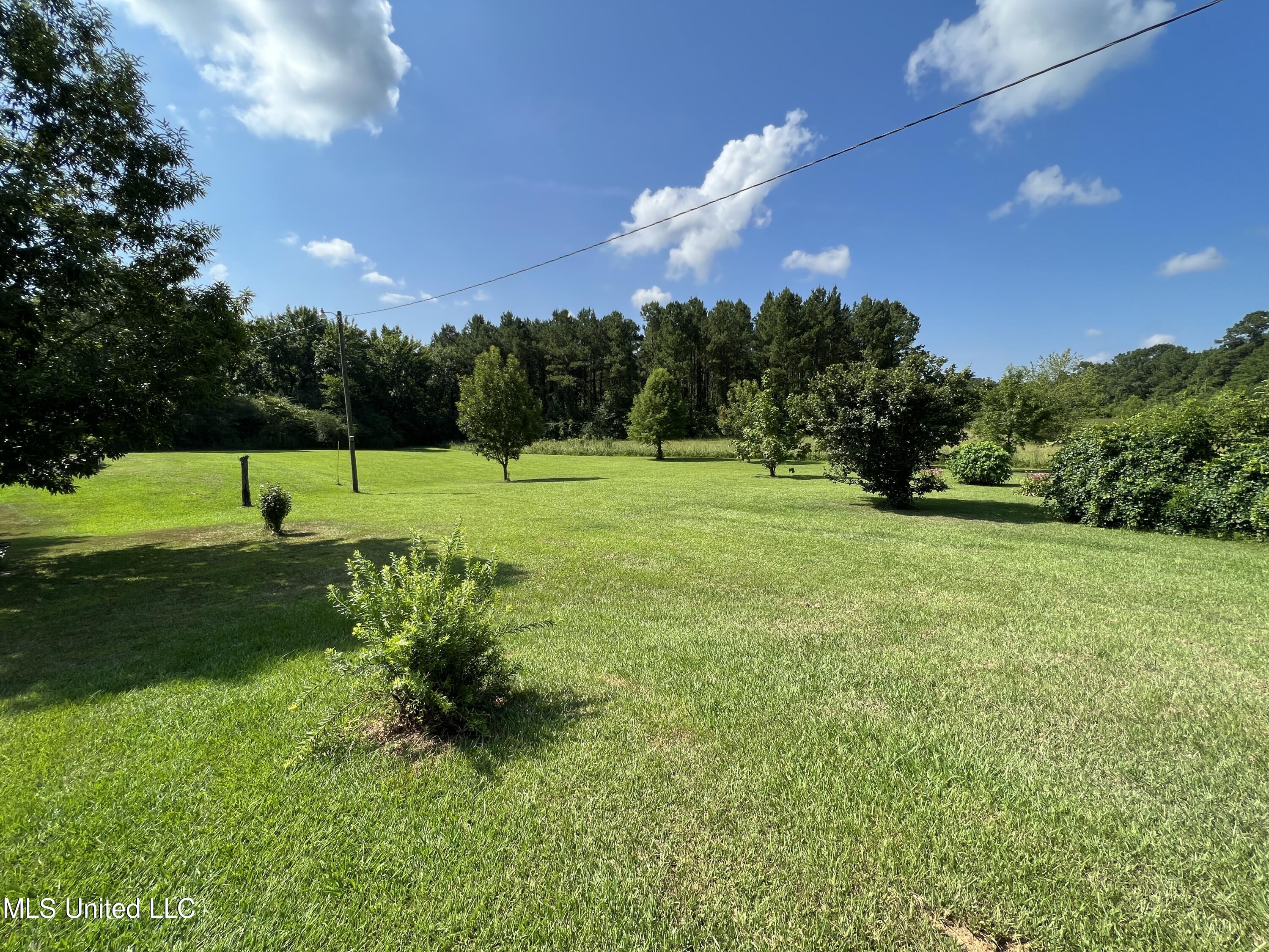 10920 Hillsboro-Ludlow Road Lena, MS 39094 - Photo 10 of 48 Photo Jul 13, 10 10 45 AM