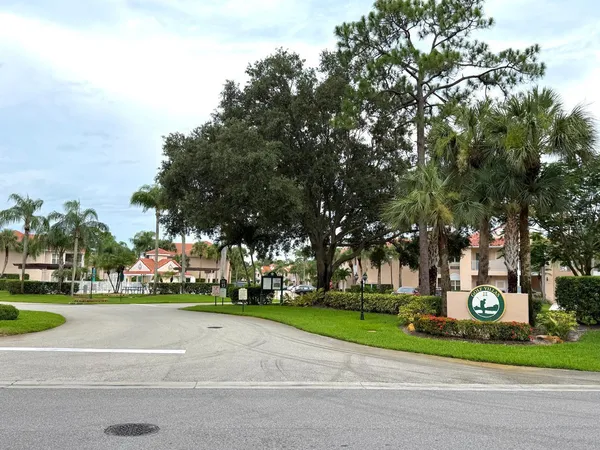 a view of a park with tree s