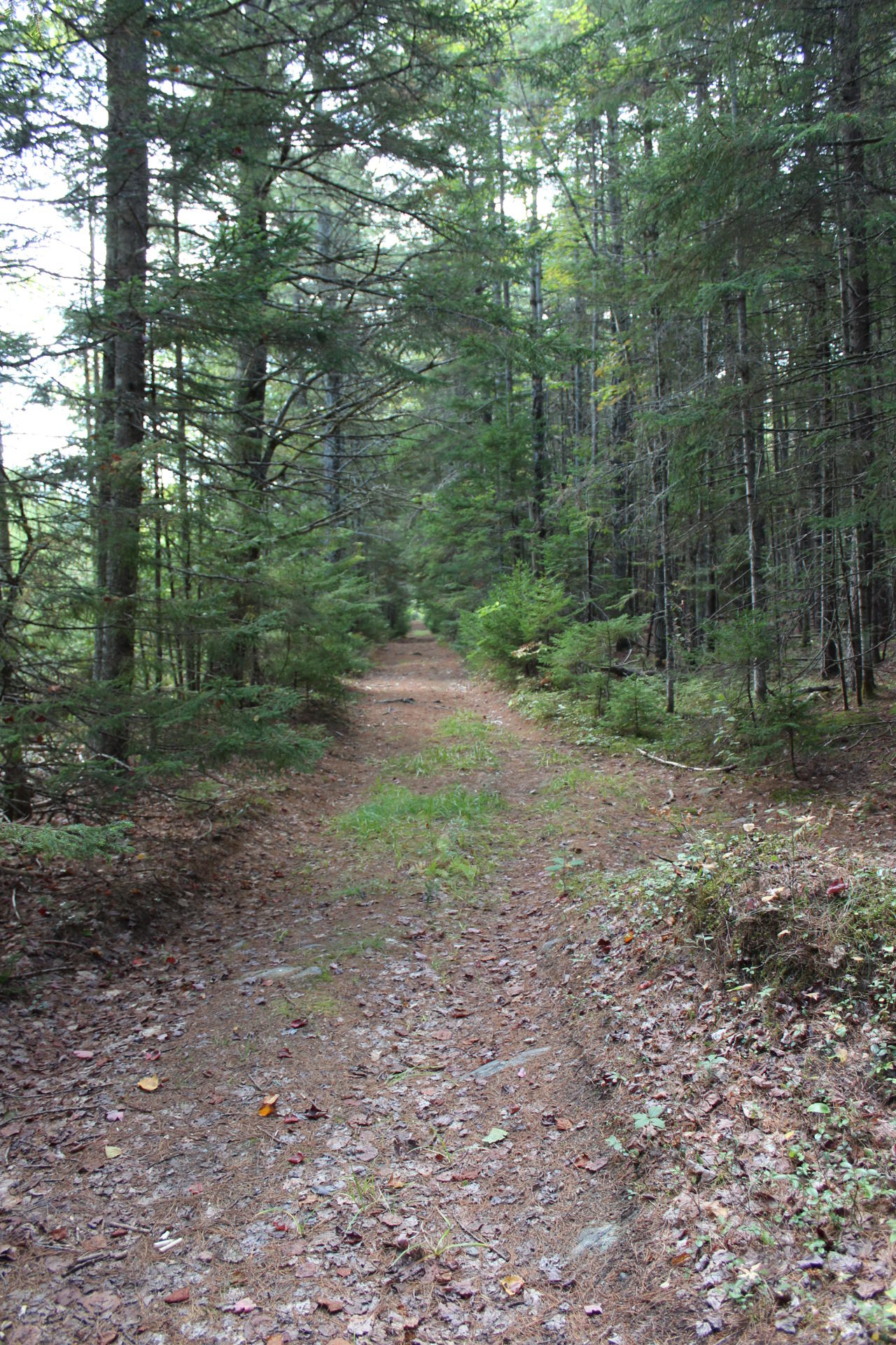95 Black Road South Searsport, ME 04974 - Photo 127 of 140 IMG_1954