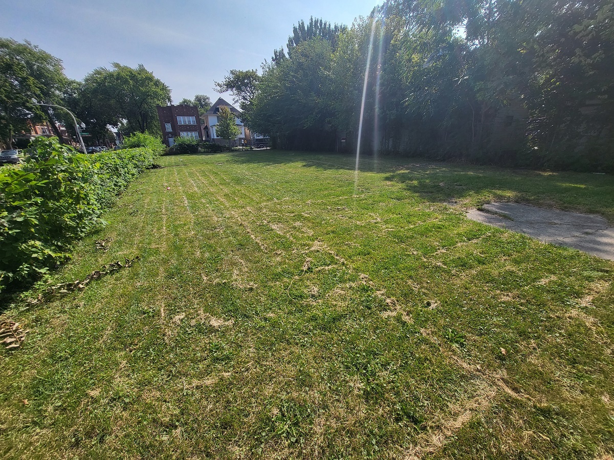 5404 West Walton Street Chicago, IL 60651 - Photo 5 of 5