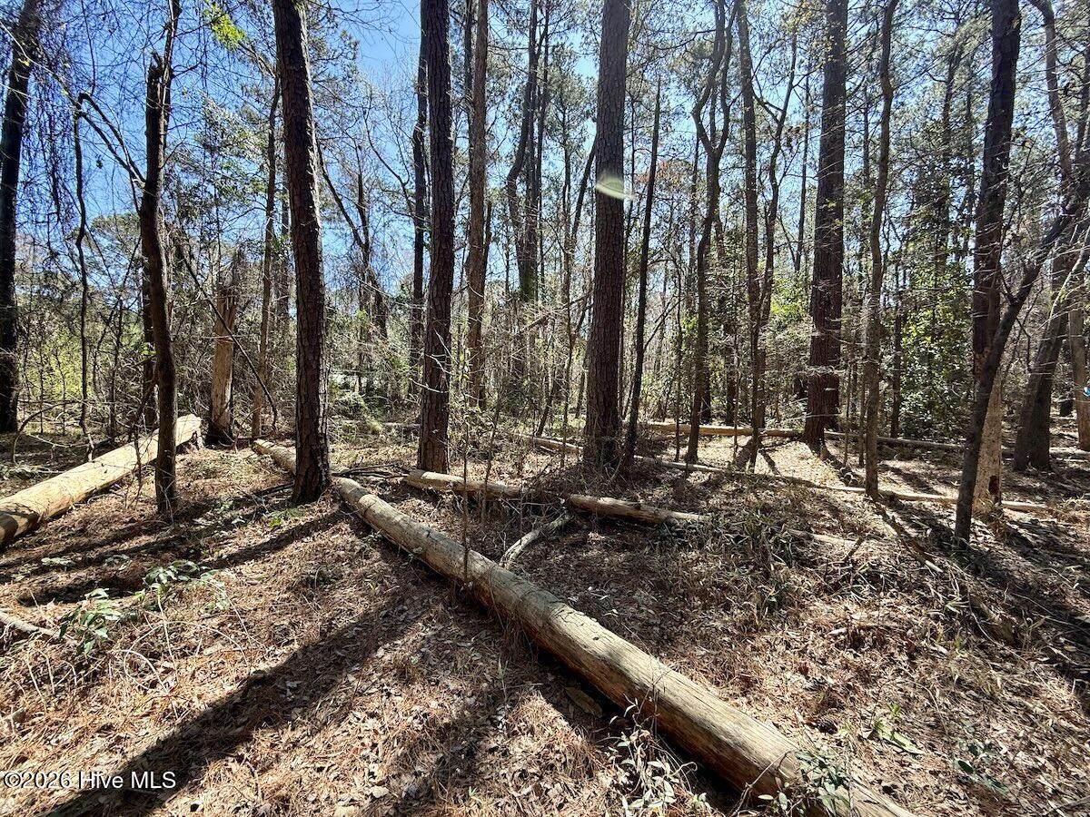1 Creek Place Road Arapahoe, NC 28510 - Photo 17 of 28 17
