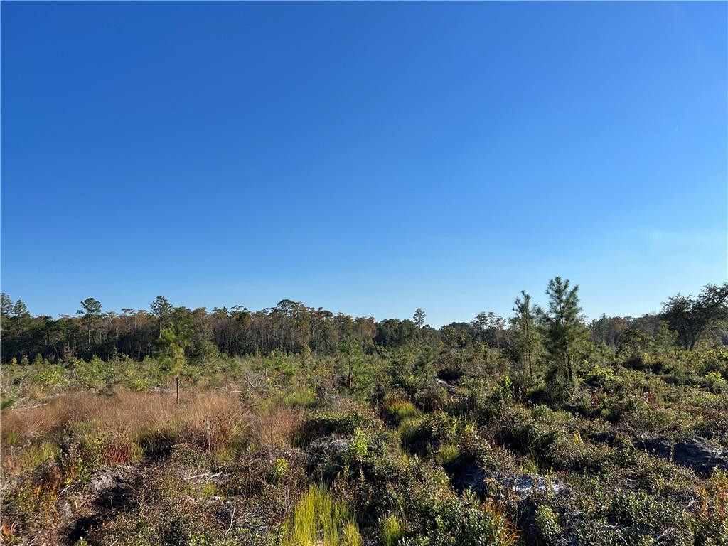 99 Highway 99 Townsend, GA 31331 - Photo 7 of 36