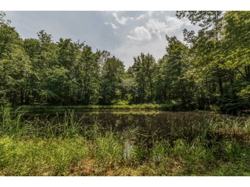 146 Range Road Windham, NH 03087 - Photo 10 of 36