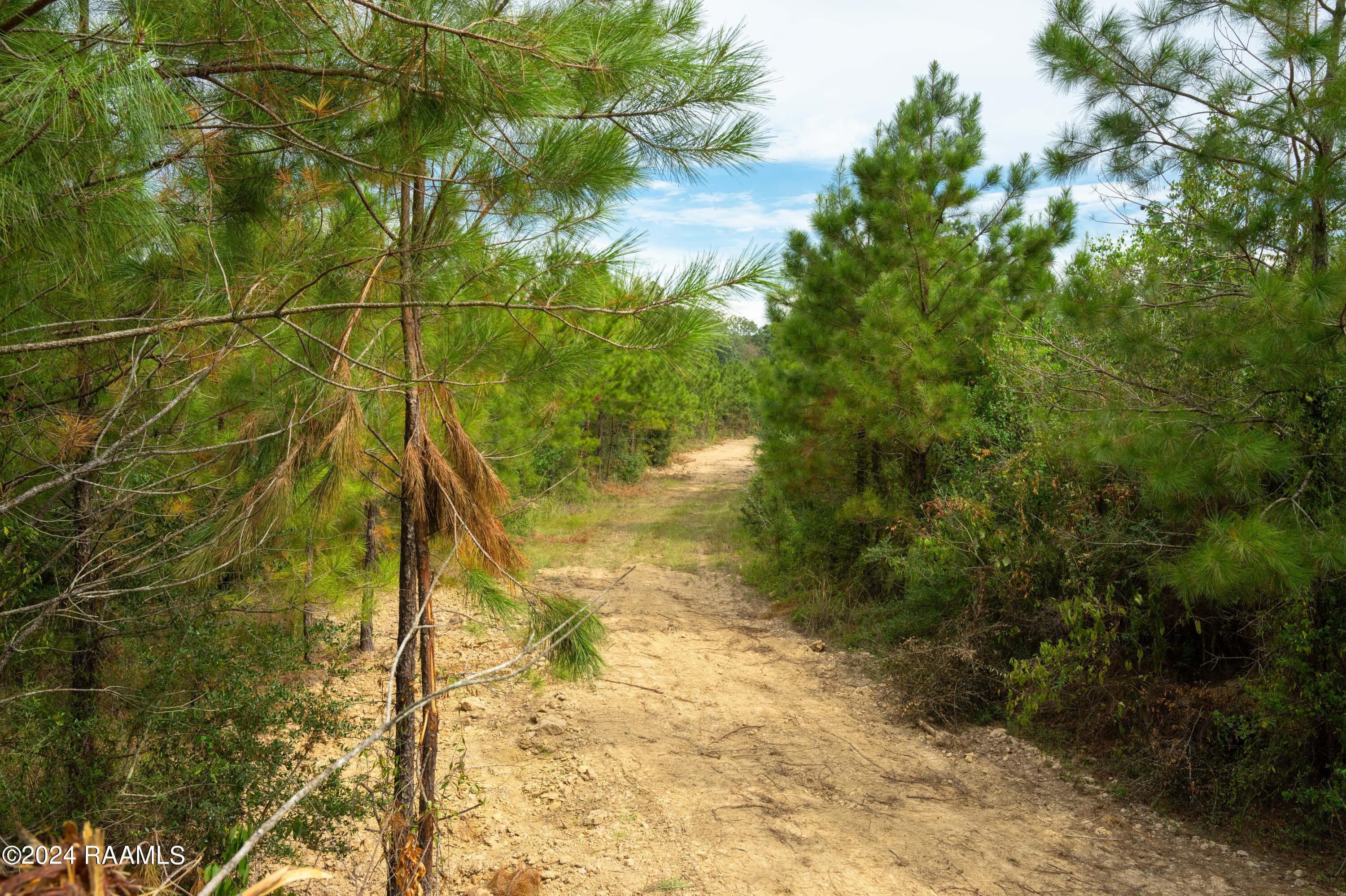 1 Vie Terre Beau Road Basile, LA 70515 - Photo 13 of 36 AcadiaWoods-17