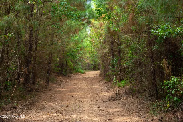 $1,025,500 | 1 Vie Terre Beau Road, Basile, LA 70515