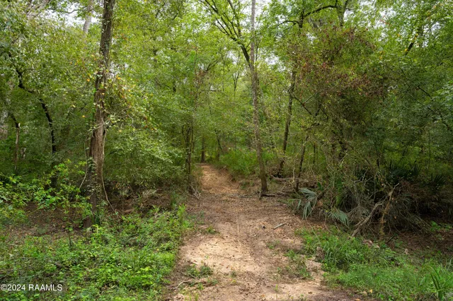 $1,025,500 | 1 Vie Terre Beau Road, Basile, LA 70515