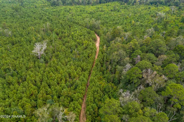 $1,025,500 | 1 Vie Terre Beau Road, Basile, LA 70515