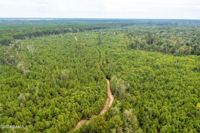 $1,025,500 | 1 Vie Terre Beau Road, Basile, LA 70515